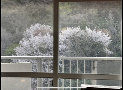 【展望】 | マンション住吉川