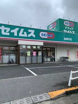 【周辺】 | アイビーハウス