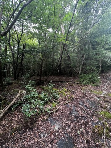 大津市南小松1833-10　売土地の外観