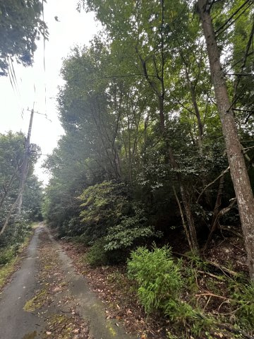 大津市南小松1833-10　売土地の周辺