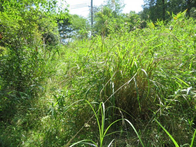 丹波市山南町玉巻の売地の前面道路含む現地写真