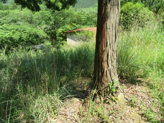 丹波市山南町玉巻の売地の前面道路含む現地写真