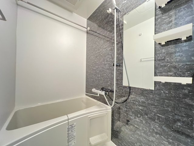 S-RESIDENCE難波大国町dominaの浴室