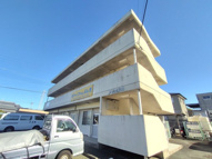 メッカ天伯の画像