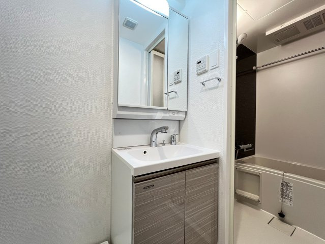 S-RESIDENCE難波大国町dominaの独立洗面台