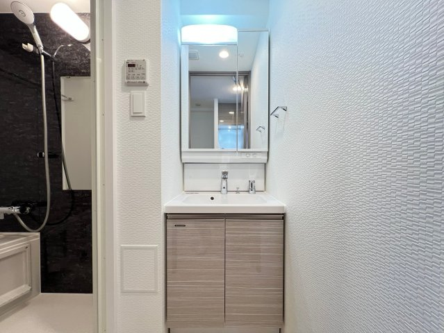 S-RESIDENCE難波大国町dominaの独立洗面台