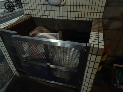 【その他共用部分】 | ドムス金城