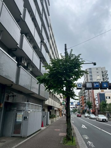 【外観】 | コスモフォーラム三鷹（空室） | エントランスは三鷹通り面にあります。中央通り商店街やコンビニにはすぐにでれて買い物便利です。