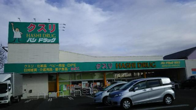 【周辺】 | サン・ホーム　柏 | ハシドラッグ保原店まで488ｍ