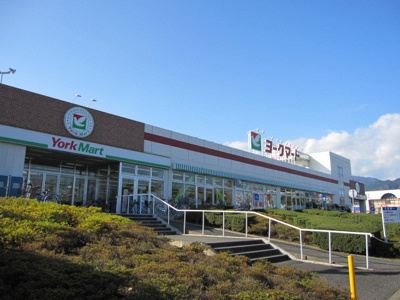 ヨークマート伊勢原店まで900m