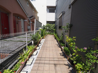 【その他共用部分】 | 緑も多く綺麗にされた共用部分です♪