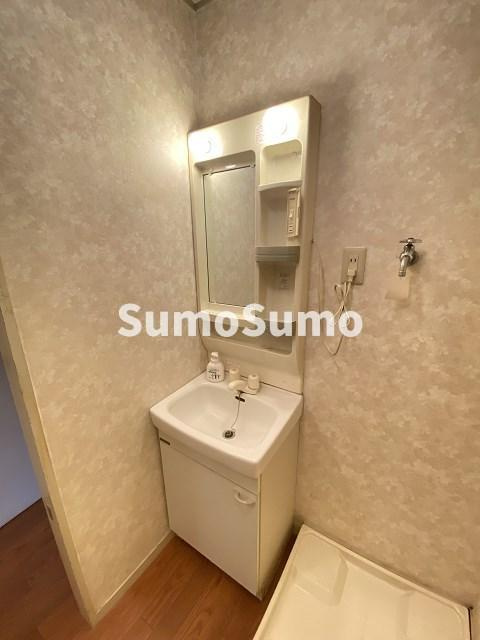 ハイツ八興の洗面所