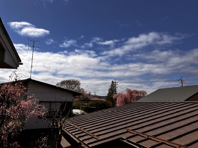 [Wi-Fi] 澄みきった風と香りの展望