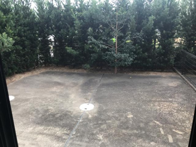 【庭】 | ファインコート北野Ⅱ | 専用庭