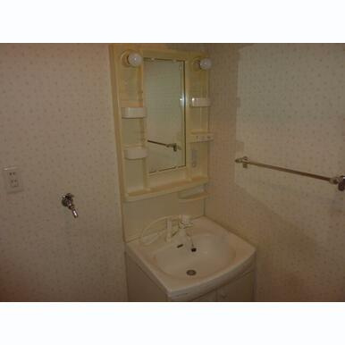 DM.BLDG【10.000円キャッシュバック対象物件】の洗面所