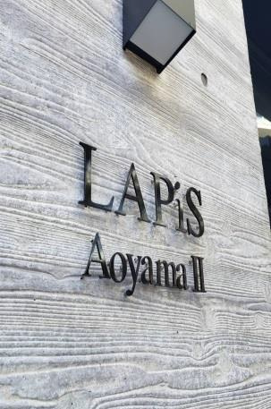 LAPiS青山Ⅱ(ラピス青山Ⅱ)のその他共用部分