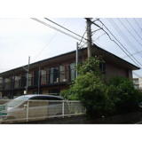 アムールクララの画像