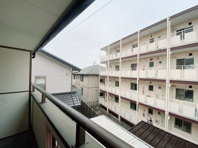 ライブリー共和の展望
