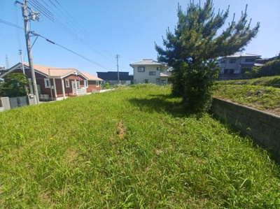 【外観】 | 淡路市楠本　売地　