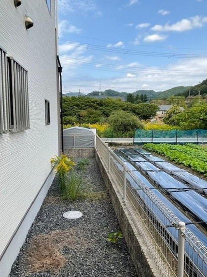 【庭】 | K21929-柊野