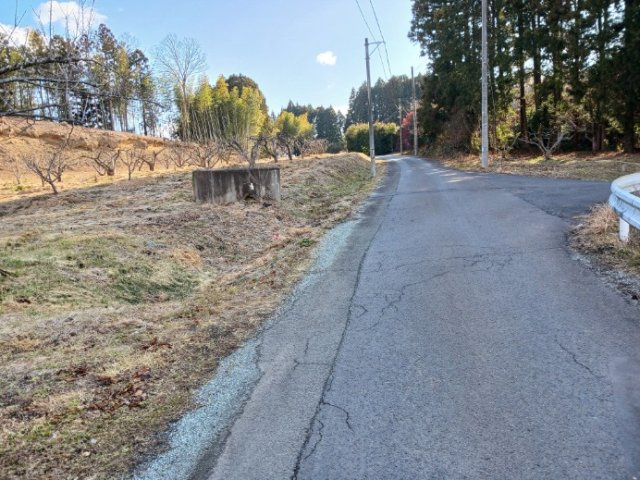 【前面道路含む現地写真】