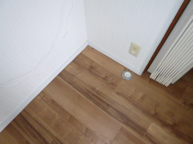 ブル・マリーノのその他