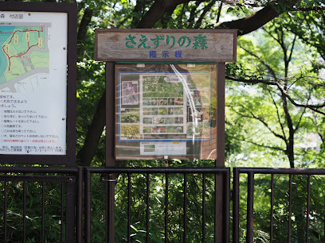 【周辺】 | 永山駅前緑地（さえずりの森）まで徒歩１分
