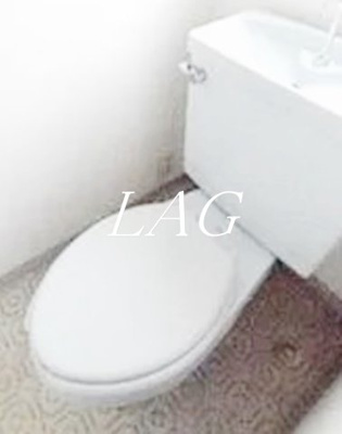 【トイレ】 | スカイフィールド国立 | トイレです。