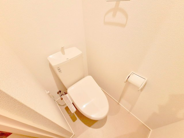 ベルーガのトイレ