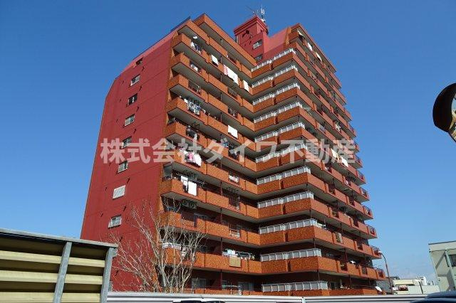 シャンボール康生