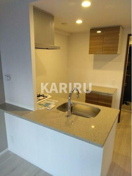 エスリードレジデンス梅田マークスの内装