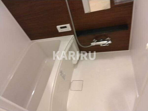 エスリードレジデンス梅田マークスの浴室