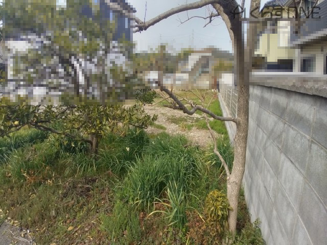 【外観】 | 姫路市白浜町2丁目／売土地