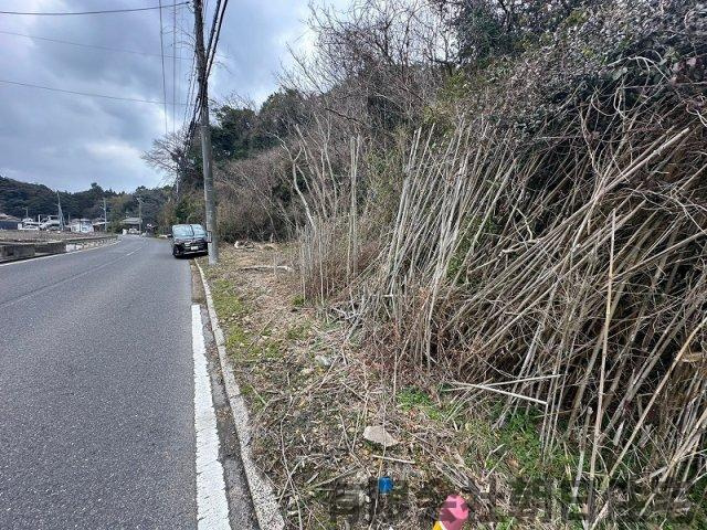 【前面道路含む現地写真】 | 美保関町森山山林 | 前面道路含む現地写真です