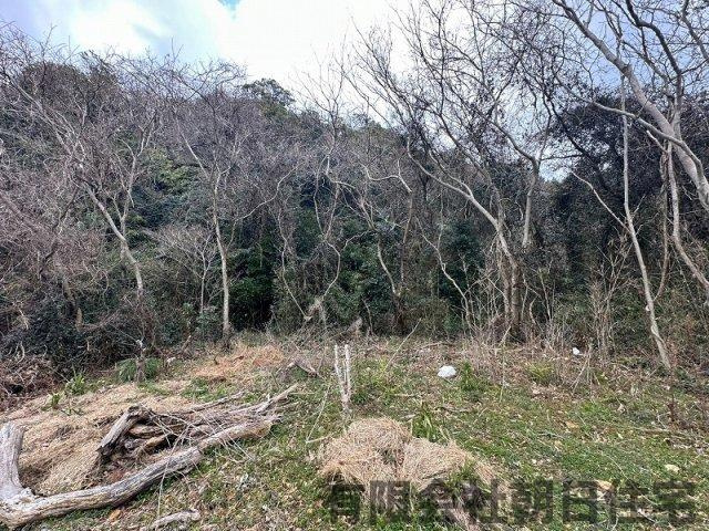 【外観】 | 美保関町森山山林 | 外はこのようになっています