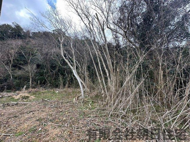 【外観】 | 美保関町森山山林 | 外はこのようになっています