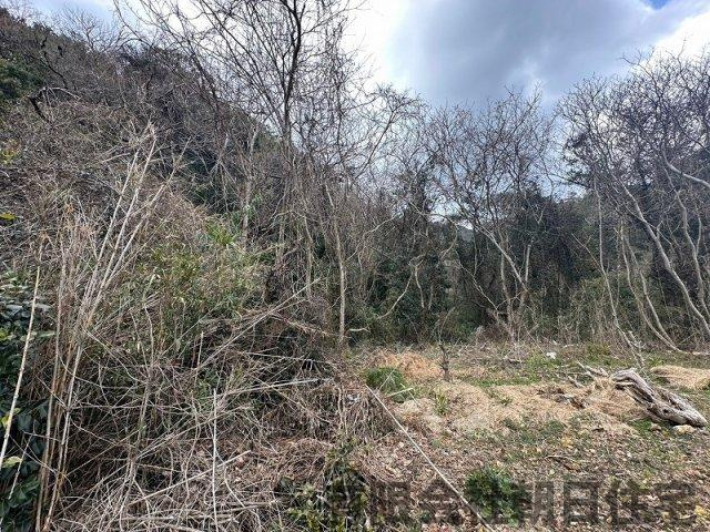 【外観】 | 美保関町森山山林 | 外観です