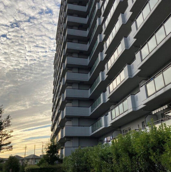 コスモ北野田の外観