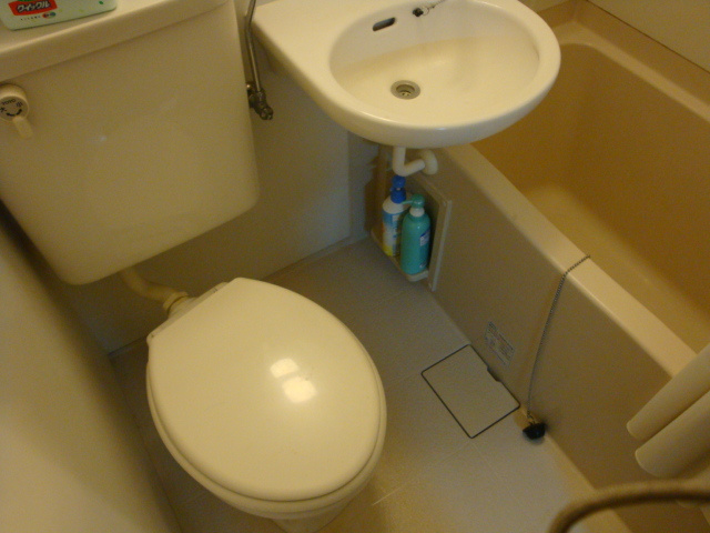 スプリング逆瀬川の洗面所