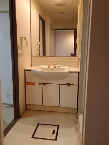 レジオン四条畷の洗面所