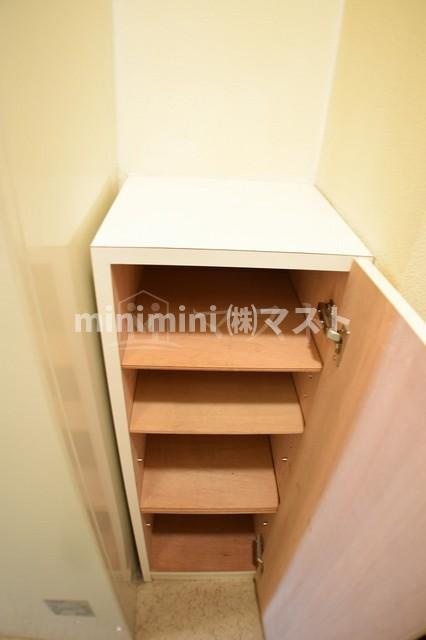 大阪市西区新町１丁目の賃貸マンションの収納