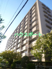 山科団地A棟の画像