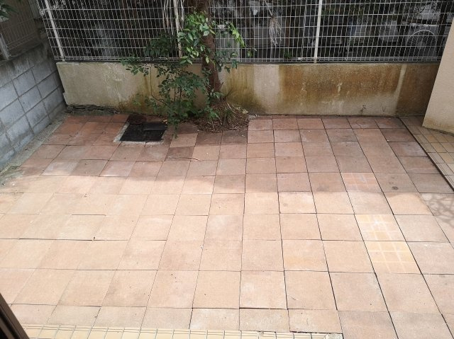 松庵三丁目戸建B邸の庭