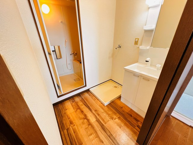 メイプル新代の洗面所