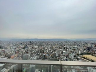 【展望】