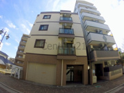 ギャレカワニシの画像