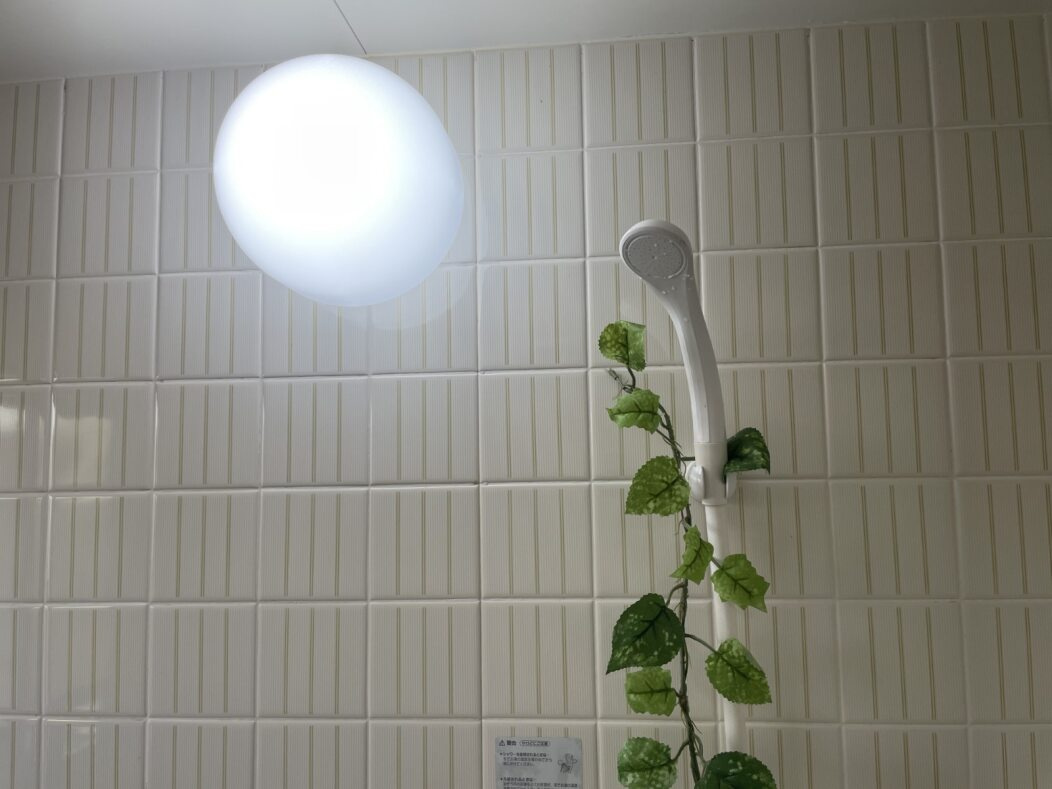 コーポラス蘭のその他