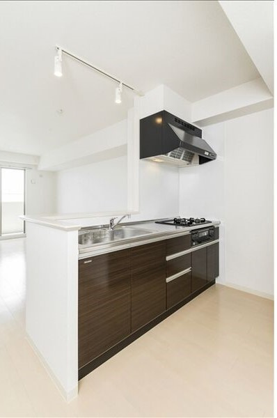 レセナデナリのキッチン