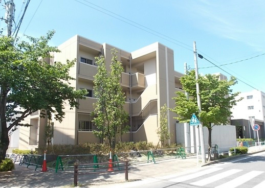 レセナデナリの外観