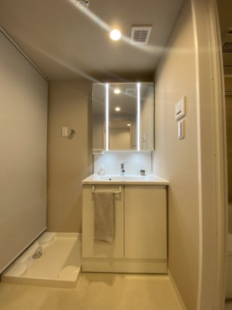 コトーハイツ伏見稲荷A棟の独立洗面台